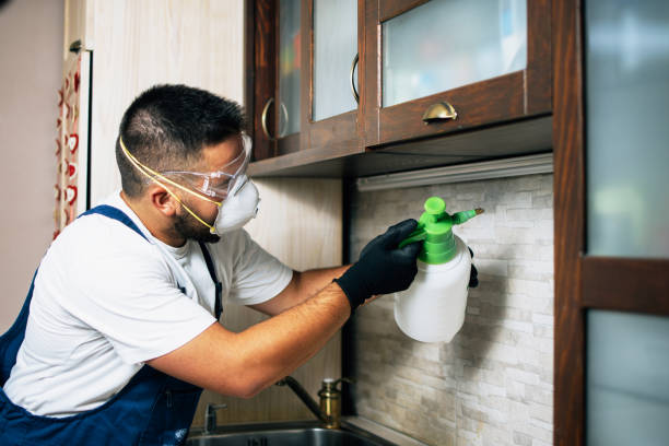 Best Pest Control Near Me  in Azle, TX