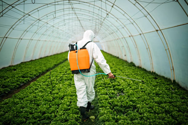 Best Pest Removal Services  in Azle, TX