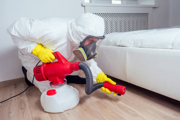 Best Local Pest Control Services  in Azle, TX