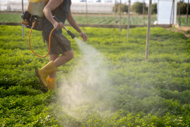 Best Pest Control Near Me  in Azle, TX
