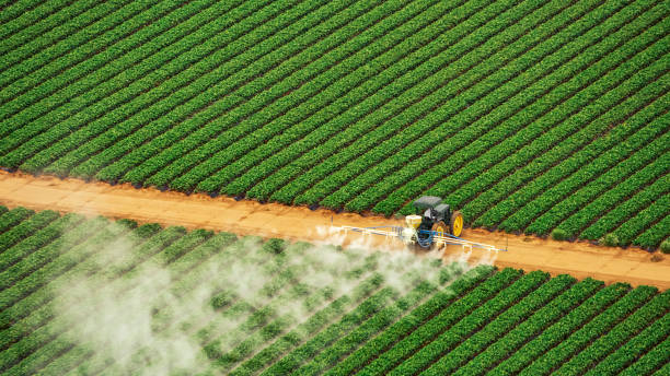 Best Best Pest Control Companies  in Azle, TX