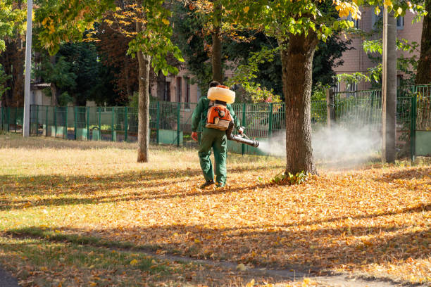 Best Affordable Pest Control Services  in Azle, TX