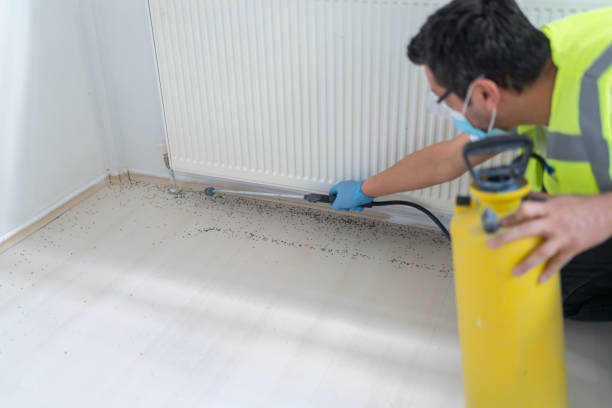 Best Best Pest Control Companies  in Azle, TX