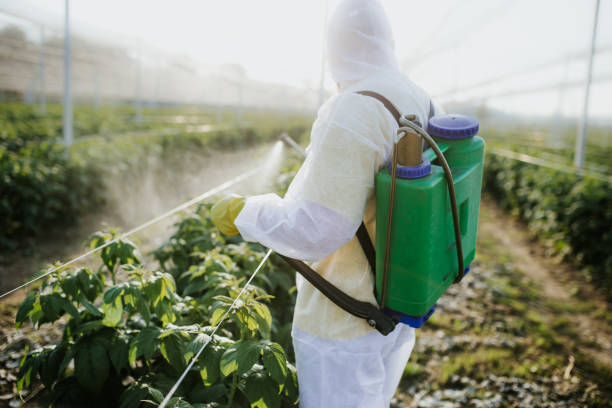 Best Commercial Pest Control Services  in Azle, TX